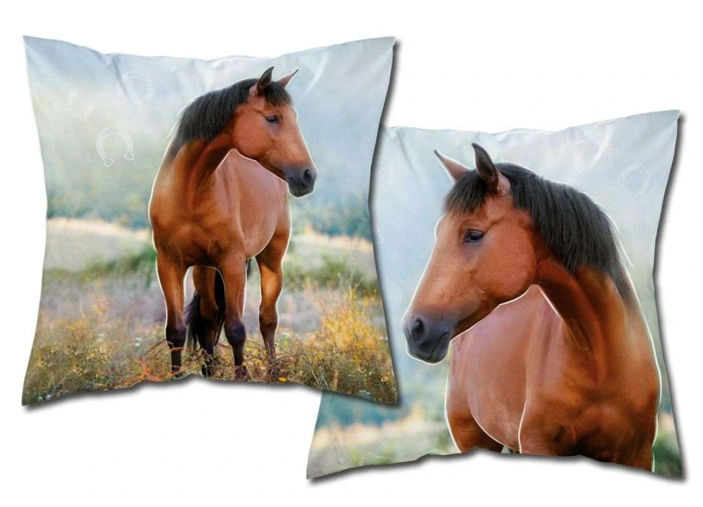 Detexpol Povlak na polštářek Kůň ve stepi Svítící Bavlna, 40/40 cm