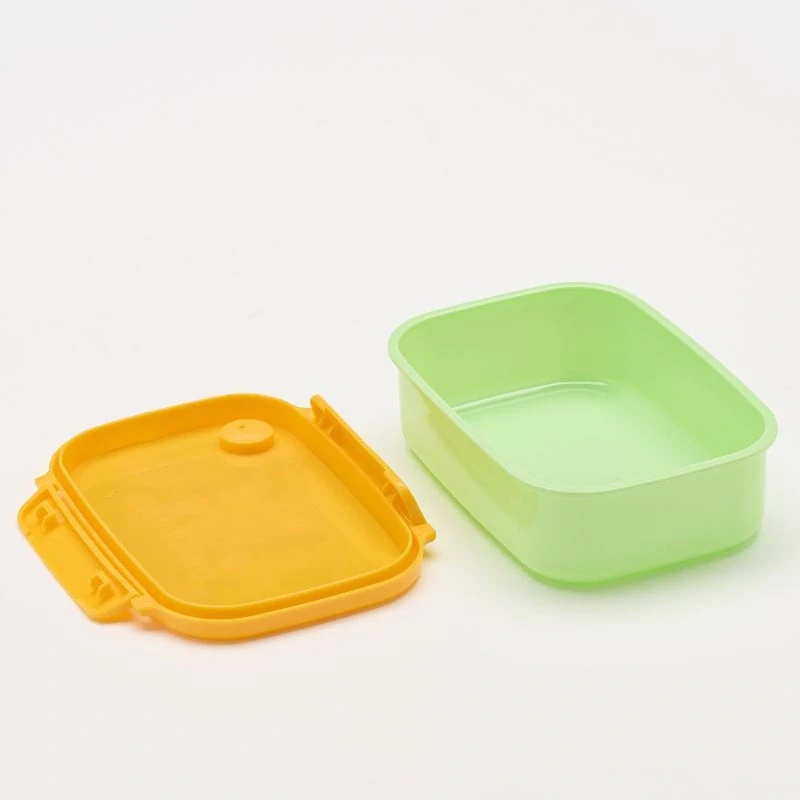 Water Revolution Box na svačinu Dinoland green Plast, 17 x 13 x 6 cm