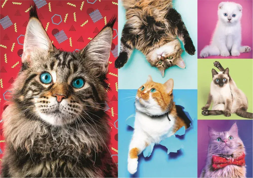 TREFL Puzzle Kočky 1000 dílků + Podložka pod puzzle