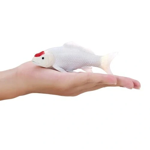 Mojo Kapr koi tancho