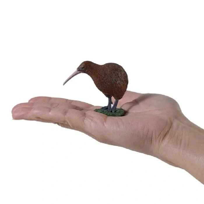 Mojo Novozélandské kiwi
