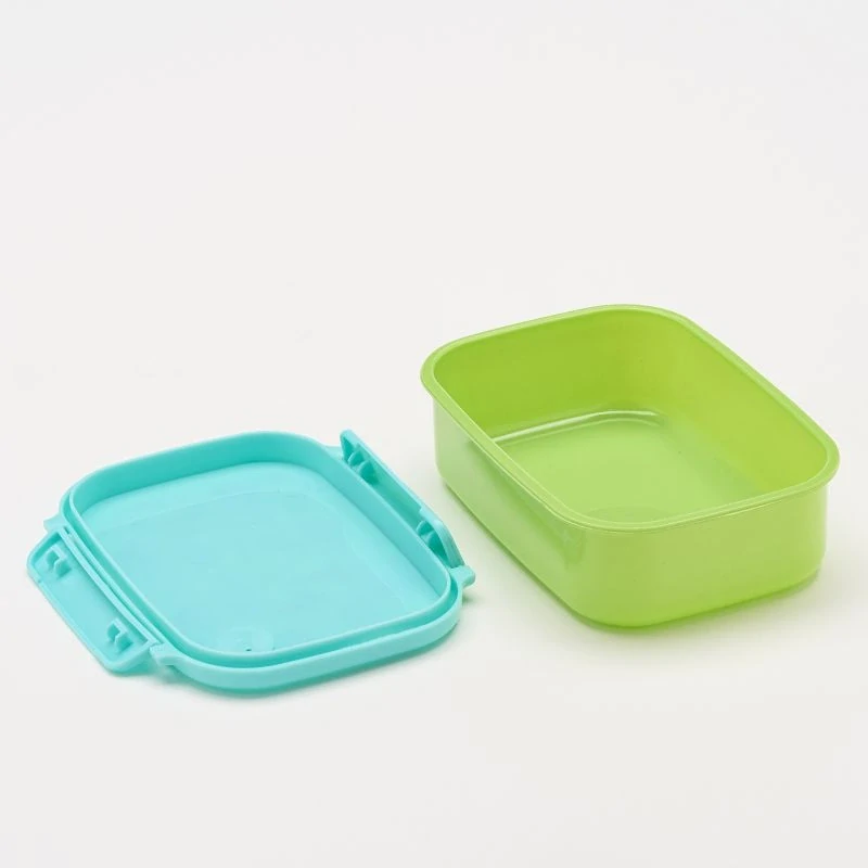 Water Revolution Box na svačinu Dinosaur Plast, 17 x 13 x 6 cm