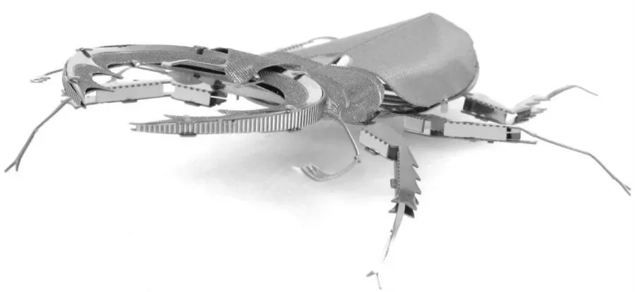 METAL EARTH 3D puzzle Roháč obecný