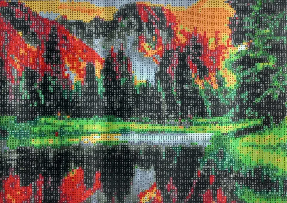 Norimpex Diamantové malování Západ slunce u jezera 30x40cm