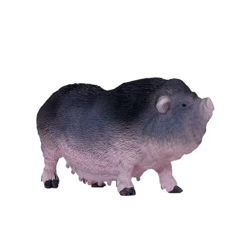 Mojo Vietnamské svislobřiché prase