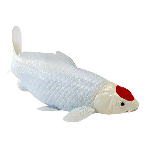 Mojo Kapr koi tancho