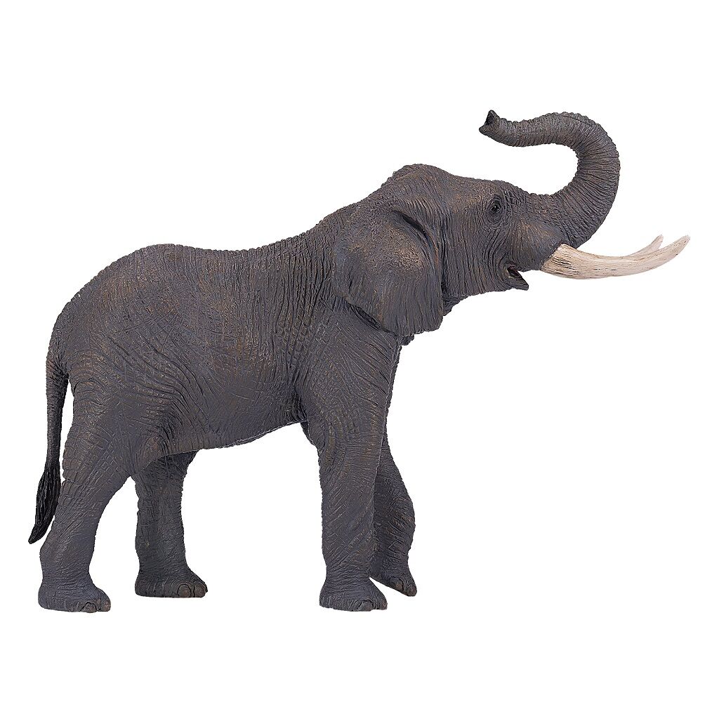 Mojo Slon africký XXL