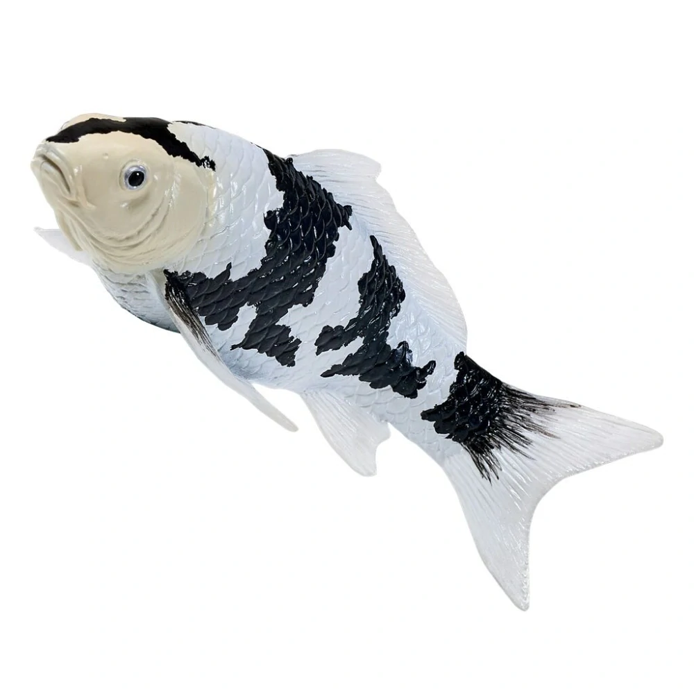 Mojo Kapr koi shiro utsuri