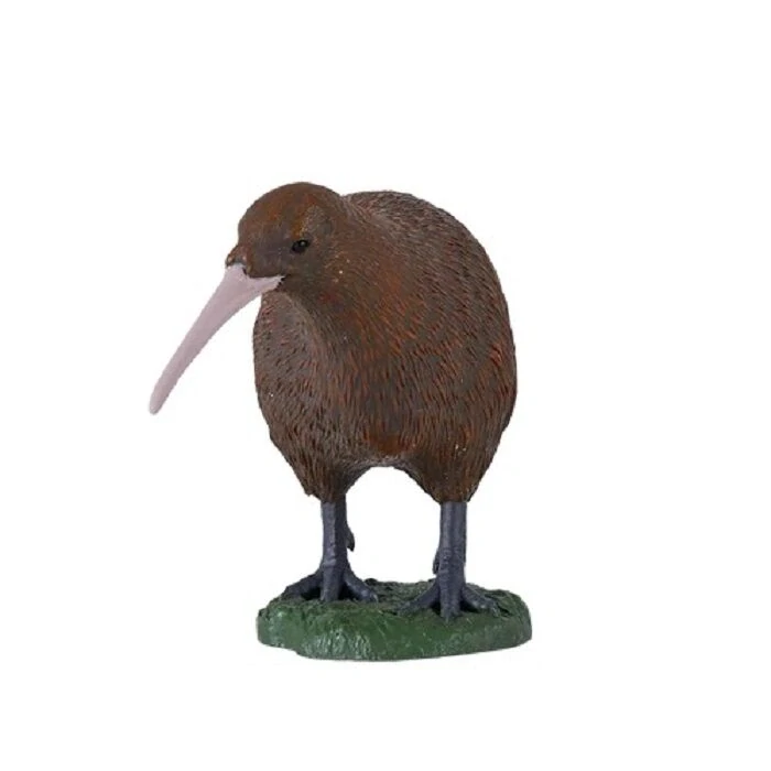 Mojo Novozélandské kiwi
