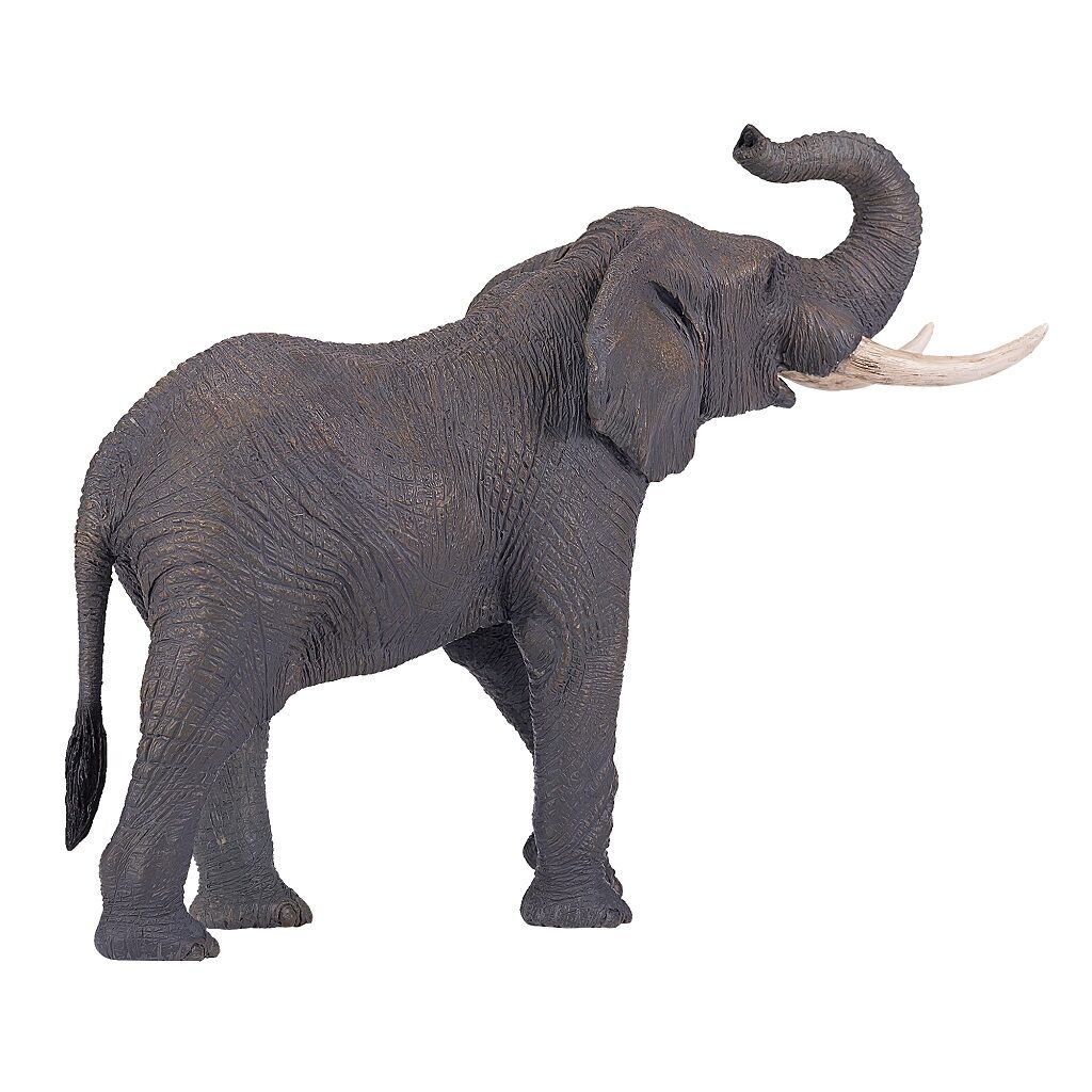 Mojo Slon africký XXL