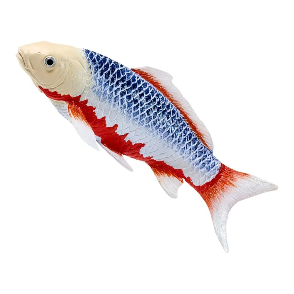 Mojo Kapr koi asagi