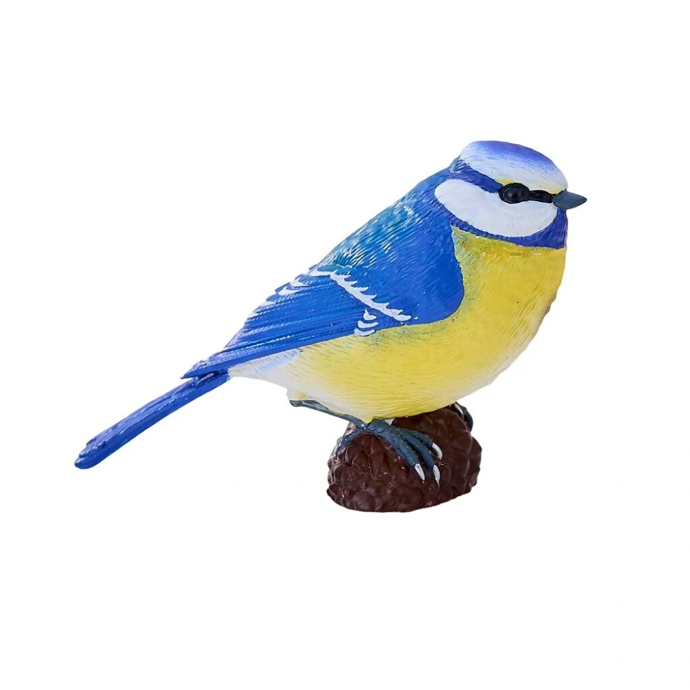 Mojo Sýkora modřinka