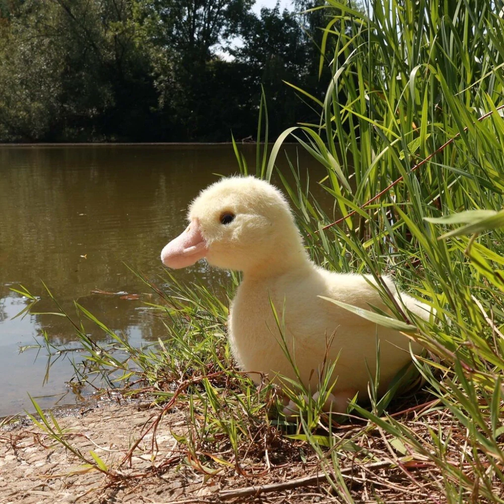 Rappa Plyšová kachna 24 cm ECO-FRIENDLY