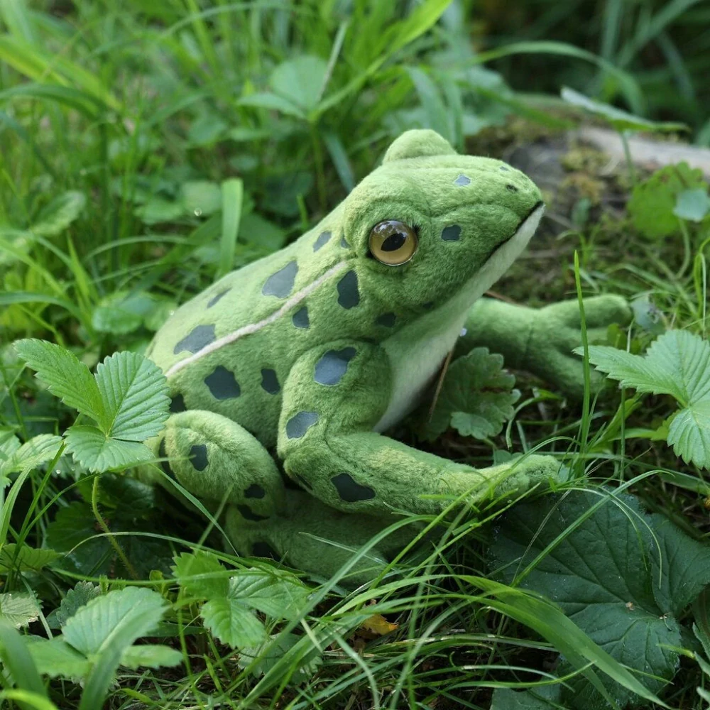 Rappa Plyšová žába 19 cm ECO-FRIENDLY