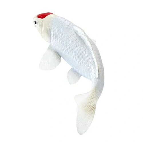 Mojo Kapr koi tancho v krabičce