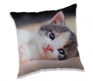 Jerry Fabrics Povlak na polštářek Koťátko Micro, 40/40 cm