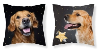 Detexpol Povlak na polštářek Pes hvězdy  Micro, 40/40 cm