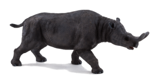 Mojo Megacerops