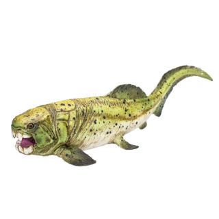 Mojo Dunkleosteus
