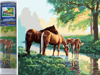 Norimpex Diamantové malování Koně u vody 30x40cm