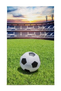 Detexpol Dětský ručník Fotbal  Bavlna - Froté, 50/30 cm
