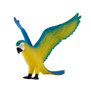 Mojo Ara ararauna