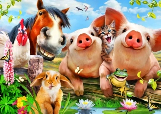 BLUEBIRD Puzzle Roztomilá domácí zvířata 500 dílků