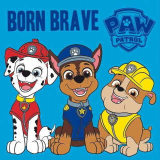 FARO Magický ručníček Paw Patrol Brave Bavlna - Froté, 30/30 cm