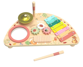 2Kids Toys Multifunkční hudební deska