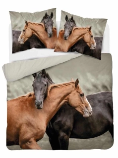 DETEXPOL Francouzské povlečení Koně  Bavlna, 220/200, 2x70/80 cm