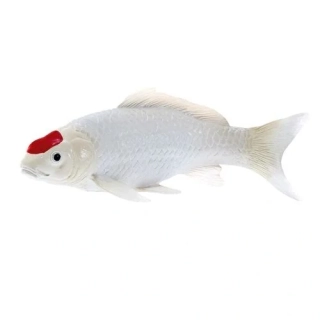 Mojo Kapr koi tancho
