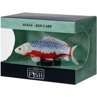 Mojo Kapr koi asagi v krabičce